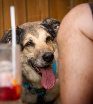 AnzánigoAbril-7 (1)